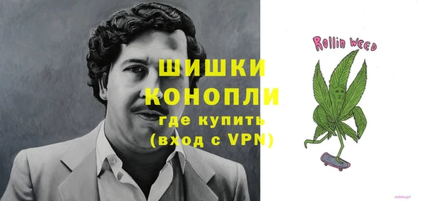 эйфоретик Баксан