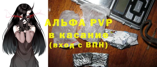 эйфоретик Баксан