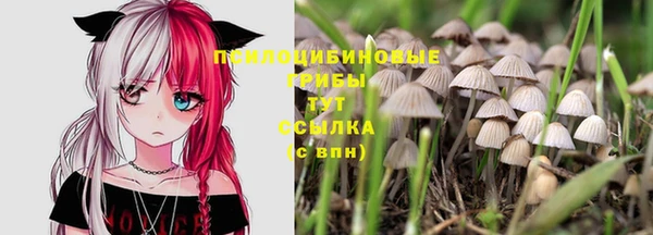 эйфоретик Баксан